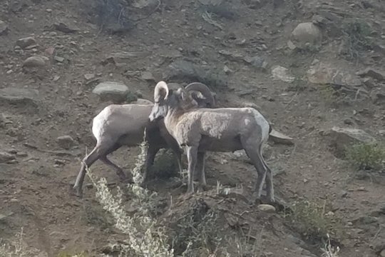 Tour image 3