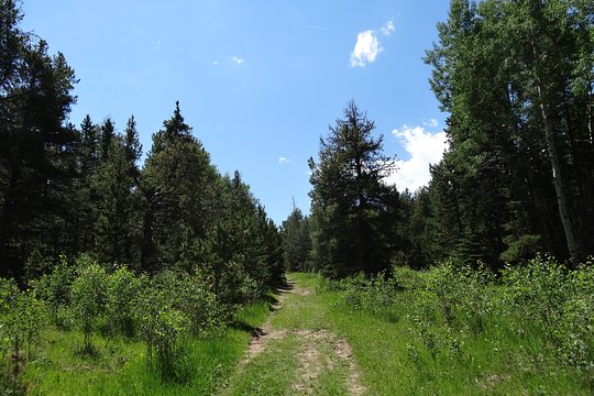 Tour image 4