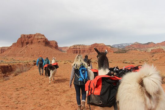 Tour image 5