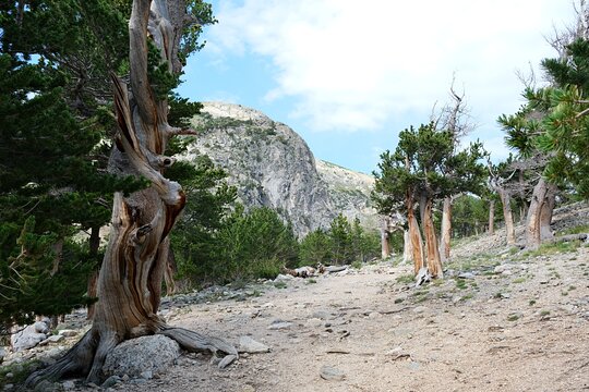 Tour image 8