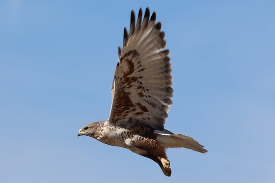 Tour image 6
