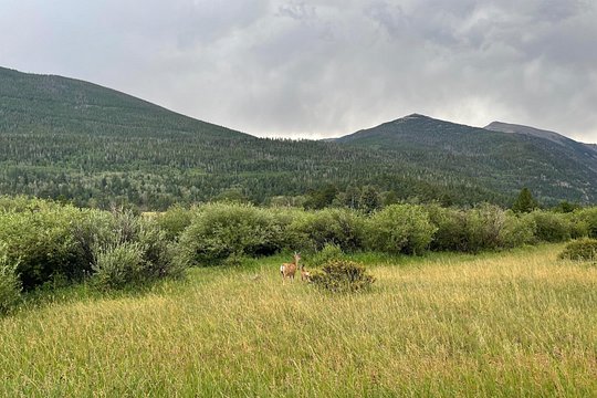 Tour image 6
