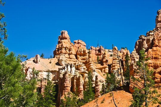 Tour image 7