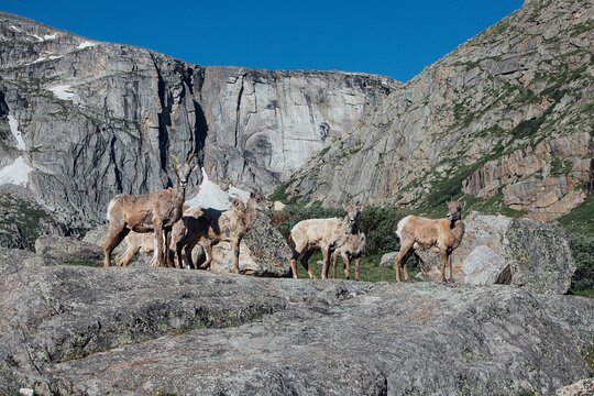 Tour image 10